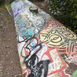 Bayview Park - Secret spot