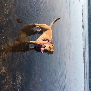 Mason Neck State Park - Parks Near Me - Lorton, Virginia