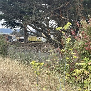 River Walk Trail - September 11, 2025 - Trail view of scrap metal yard. - Hiking Near Me - Fortuna, California River Walk Trail - September 11, 2025 - Trail view of scrap metal yard. - Hiking Near Me - Fortuna, California
