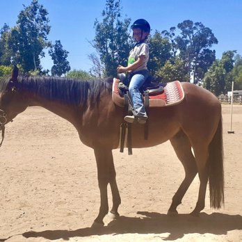 Equestrians Excellence - OTTBs are the best lesson horses ever - Horseback Riding Near Me - Oxnard, California