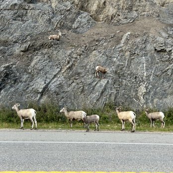 Jasper National Park - Parks Near Me