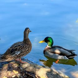 San Diego Photography Tours