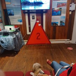 Gulf Shores Museum - Brought Miss Sandy & Chip to our little local museum. Their 1st tine.