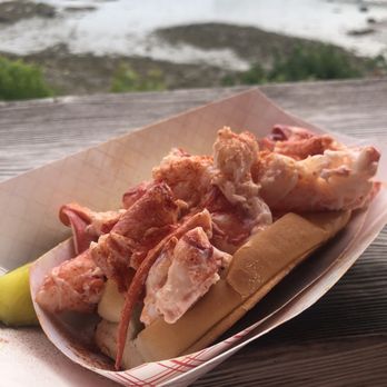 Claws - Lobster roll with mayo - Seafood Near Me - Rockland, Maine Claws - Lobster roll with mayo - Seafood Near Me - Rockland, Maine