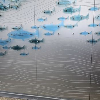 Vancouver Aquarium - You can take a picture at the entrance.They can change the back :) - Aquariums Near Me - Vancouver, British Columbia Vancouver Aquarium - You can take a picture at the entrance.They can change the back :) - Aquariums Near Me - Vancouver, British Columbia