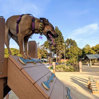 Newbark Dog Park - Dog Parks Near Me - Newark, California Newbark Dog Park - Dog Parks Near Me - Newark, California