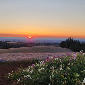 Silverton Wildflower Tours - Breathtaking views! - Bus Tours Near Me - Silverton, Oregon Silverton Wildflower Tours - Breathtaking views! - Bus Tours Near Me - Silverton, Oregon