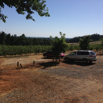 Boa Vista Orchards - Fruits & Veggies Near Me - Placerville, California