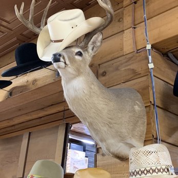 Allens Boots - A forever Happy Customer! - Shoe Stores Near Me - Austin, Texas