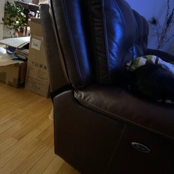 Condo Size - Recliner back