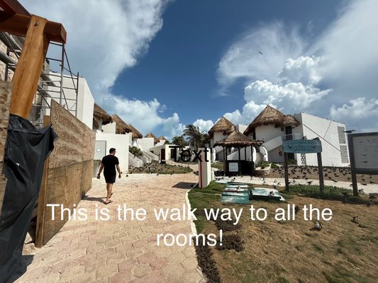 Mia Reef Isla Mujeres by null