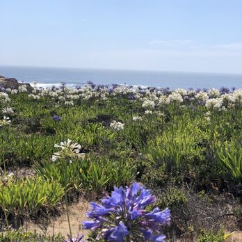 Montara State Beach - 8.13.20 - Parks Near Me - Montara, California