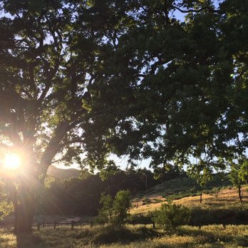 Pinnacles Campground - view of sunset from our campsite @ Pinnacles Campground in Pinnacles National Park, CA (April 2019) - Campgrounds Near Me - Paicines, California Pinnacles Campground - view of sunset from our campsite @ Pinnacles Campground in Pinnacles National Park, CA (April 2019) - Campgrounds Near Me - Paicines, California