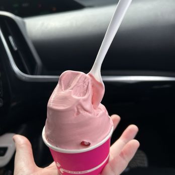 D'lites Emporium - Cup - Small strawberry ice cream - Ice Cream & Frozen Yogurt Near Me - Tampa, Florida