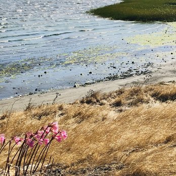 Point Pinole Regional Shoreline - Parks Near Me - Richmond, California Point Pinole Regional Shoreline - Parks Near Me - Richmond, California