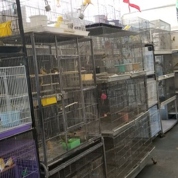 Birds Plus - Bird Shops Near Me - Valley Glen, California Birds Plus - Bird Shops Near Me - Valley Glen, California