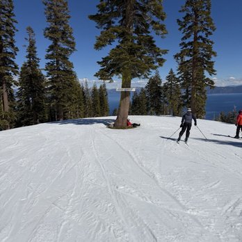 Homewood Mountain Resort - Ski Resorts Near Me - Homewood, California Homewood Mountain Resort - Ski Resorts Near Me - Homewood, California
