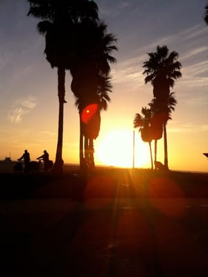 Samesun Venice Beach by null