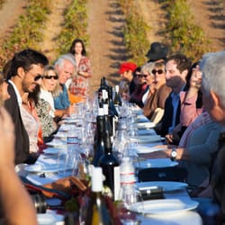 Cypher Winery - Vineyard dinner