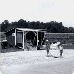 Farmers Daughter Gift & Garden Center - After the initial stand in 1967 this was the 1st building in the 70's.