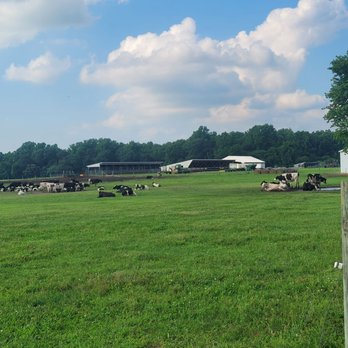 Vanderwende's Creamery - Living the country life of graze. - Ice Cream & Frozen Yogurt Near Me - Greenwood, Delaware