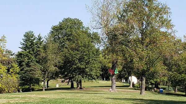 Laumeier Sculpture Park by null