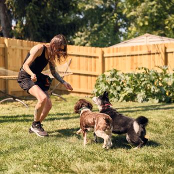 Common Sense Canine - Pet Training Near Me Common Sense Canine - Pet Training Near Me