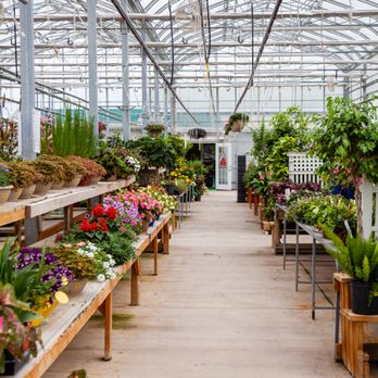 Shamrock Nursery - Nurseries & Gardening Near Me - O'Neill, Nebraska Shamrock Nursery - Nurseries & Gardening Near Me - O'Neill, Nebraska