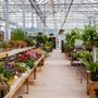 Photo of Shamrock Nursery
