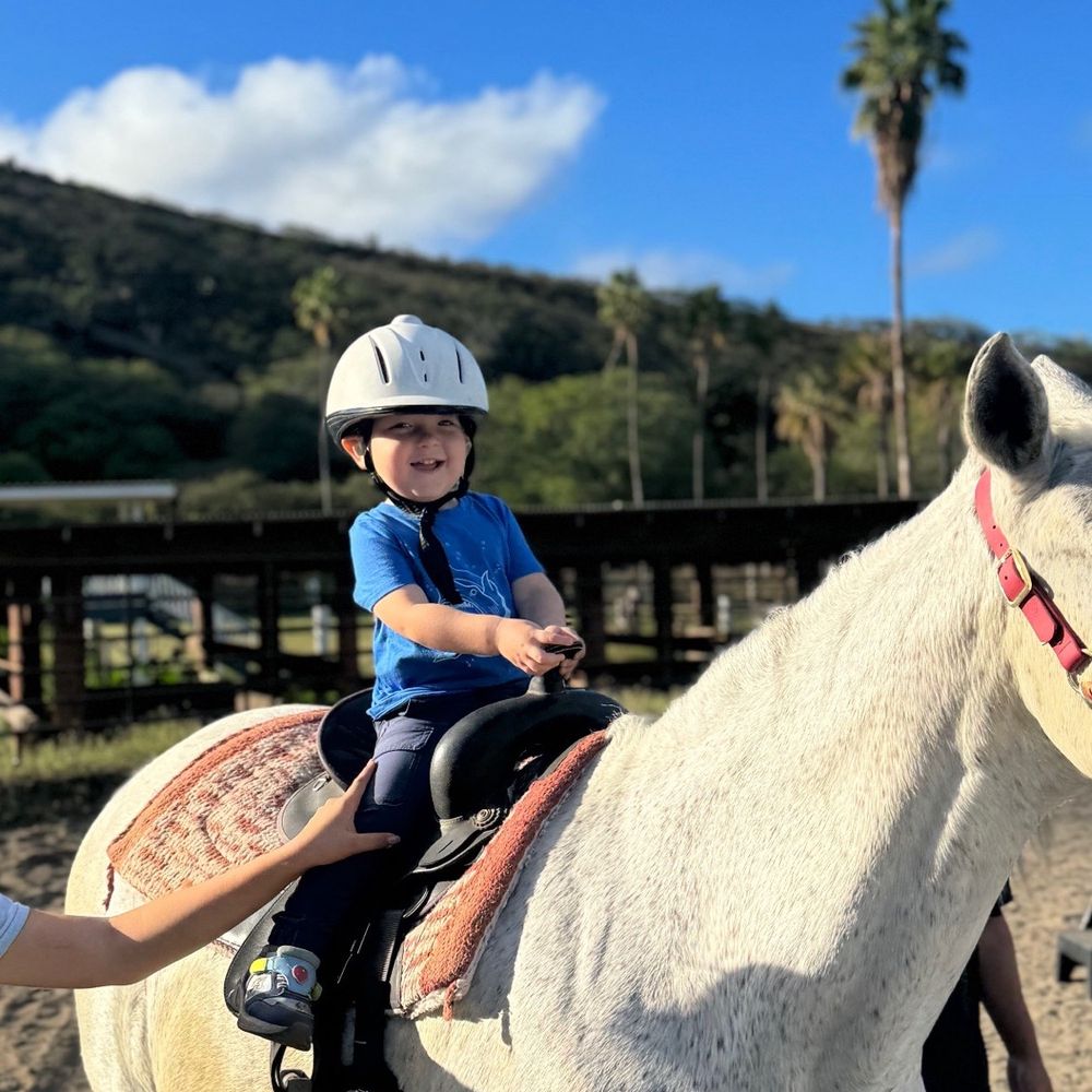 Aloha Riding Lessons - Horseback Riding Near Me - Honolulu, Hawaii Aloha Riding Lessons - Horseback Riding Near Me - Honolulu, Hawaii