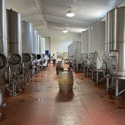 Flat Creek Estate Winery & Vineyard - Where the magic happens