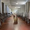 Flat Creek Estate Winery & Vineyard gift card