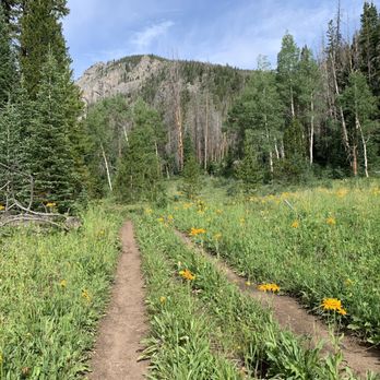 Summit County Mountain Retreats - One of the many trails we hiked. - Vacation Rentals Near Me - Keystone, Colorado Summit County Mountain Retreats - One of the many trails we hiked. - Vacation Rentals Near Me - Keystone, Colorado