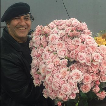 Sal The Flower Guy - Florists Near Me - Napa, California Sal The Flower Guy - Florists Near Me - Napa, California