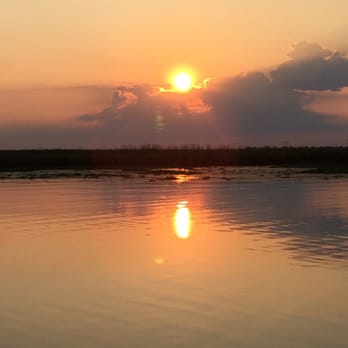 Ultimate Swamp Adventures - A beautiful sunset over the swamp. - Tours Near Me - Westwego, Louisiana Ultimate Swamp Adventures - A beautiful sunset over the swamp. - Tours Near Me - Westwego, Louisiana