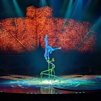 Rio Rancho Events Center - Dragonfly hand balancing - Stadiums & Arenas Near Me - Rio Rancho, New Mexico Rio Rancho Events Center - Dragonfly hand balancing - Stadiums & Arenas Near Me - Rio Rancho, New Mexico