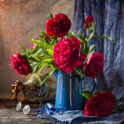 Market Flowers - Market Flowers have amazing florist flowers at affordable pricing! Free Auckland delivery for most areas.