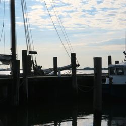 Cape Star