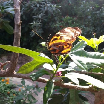 Texas Discovery Gardens - Botanical Gardens Near Me - Dallas, Texas Texas Discovery Gardens - Botanical Gardens Near Me - Dallas, Texas