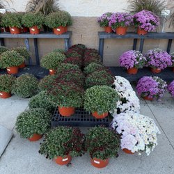 Great Lakes Ace Hardware