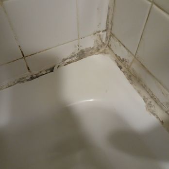 Red Roof Inn Morehead - Gross! - Hotels Near Me - Morehead, Kentucky Red Roof Inn Morehead - Gross! - Hotels Near Me - Morehead, Kentucky