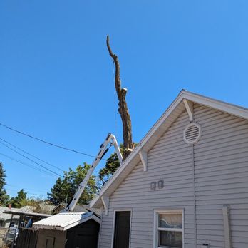 Mountain View Tree Service - Tree Services Near Me - Salem, Oregon Mountain View Tree Service - Tree Services Near Me - Salem, Oregon