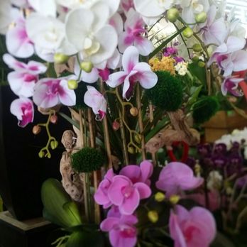 Flora Clay - Florists Near Me - Los Angeles, California Flora Clay - Florists Near Me - Los Angeles, California