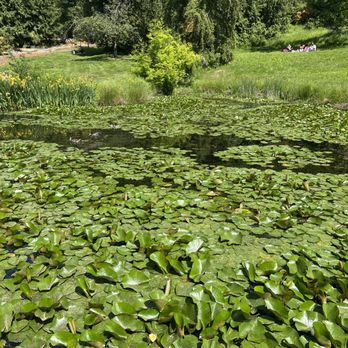 Washington Park Arboretum - Parks Near Me - Seattle, Washington Washington Park Arboretum - Parks Near Me - Seattle, Washington