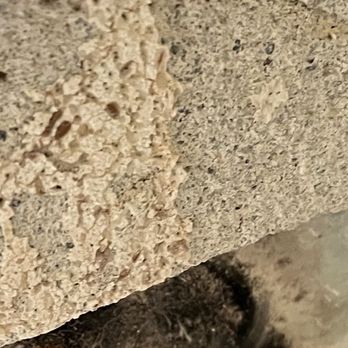 All City Environmental - Home Inspectors Near Me - San Francisco, California All City Environmental - Home Inspectors Near Me - San Francisco, California