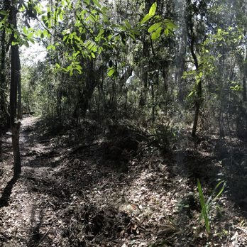 Tree Hill Jacksonville's Nature Center - Parks Near Me - Jacksonville, Florida