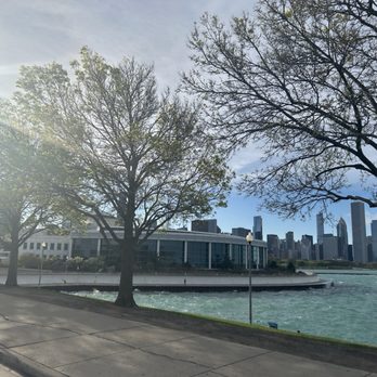 Shedd Aquarium - Aquariums Near Me - Chicago, Illinois Shedd Aquarium - Aquariums Near Me - Chicago, Illinois