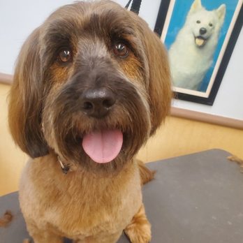 PetSmart - Pet Stores Near Me - Crystal Lake, Illinois