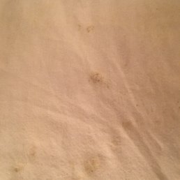 Looks to me like cum and pelvic hair. I think we deserve our reward points back too. Hire a new housekeeper. This is totally unacceptable.