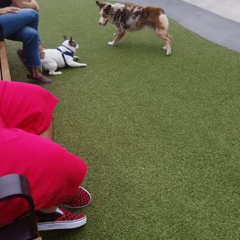 Domino Park - Just so my dog can play - Parks Near Me - Brooklyn, New York Domino Park - Just so my dog can play - Parks Near Me - Brooklyn, New York